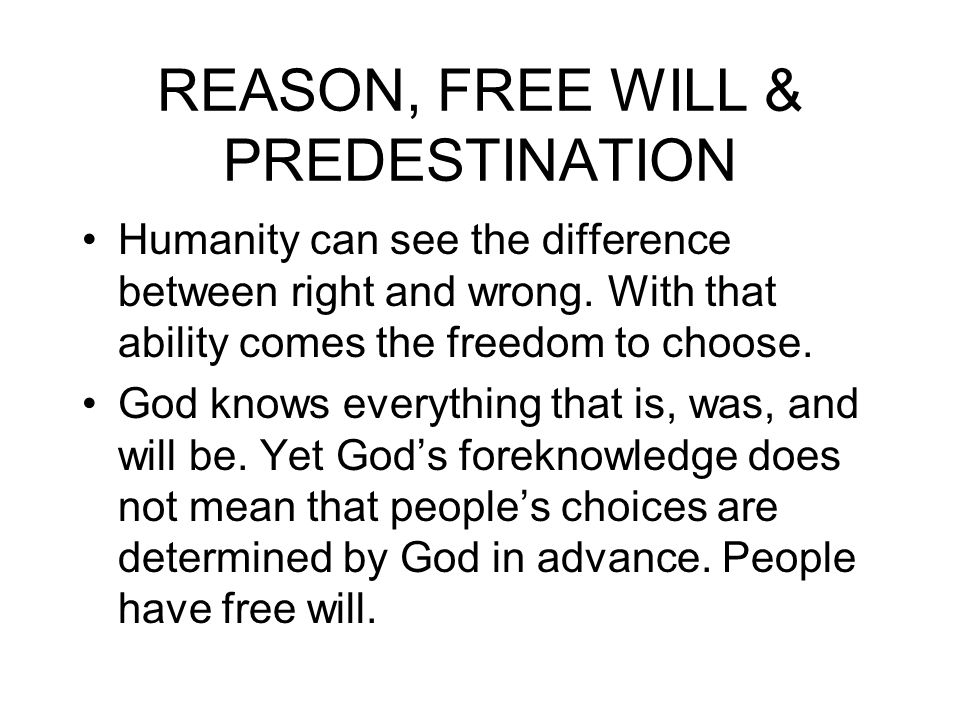 freewill and predestination essay Islam, predestination and free will by rebecca bynum (nov 2006) quran 3:145 no soul will ever die unless it is allahs will the length of each life is predetermined according to the scriptures. freewill and predestination essay Islam, predestination and free will by rebecca bynum (nov 2006) quran 3:145 no soul will ever die unless it is allahs will the length of each life is predetermined according to the scriptures.