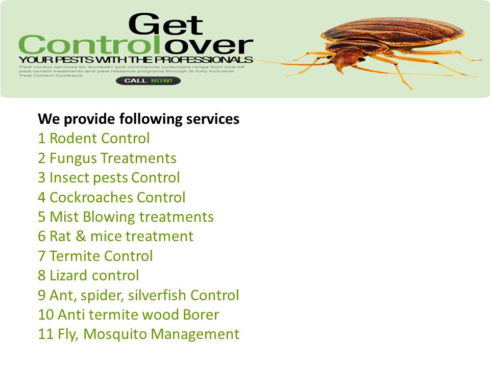 We provide following services 1 Rodent Control 2 Fungus Treatments 3 Insect pests Control 4 Cockroaches Control 5 Mist Blowing treatments 6 Rat & mice treatment 7 Termite Control 8 Lizard control 9 Ant, spider, silverfish Control 10 Anti termite wood Borer 11 Fly, Mosquito Management
