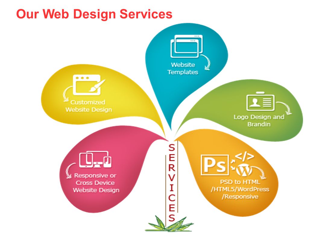 Our Web Design Services