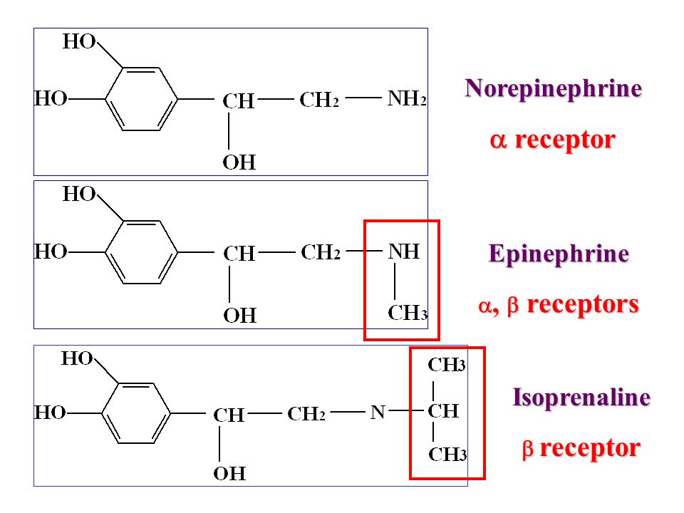 1 structure-activity relationship § ( 构效关系