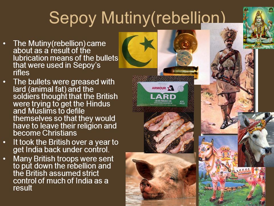 Sepoy Mutiny(rebellion) The Mutiny(rebellion) came about as a result of the lubrication means of the bullets that were used in Sepoy’s rifles The bullets were greased with lard (animal fat) and the soldiers thought that the British were trying to get the Hindus and Muslims to defile themselves so that they would have to leave their religion and become Christians It took the British over a year to get India back under control.