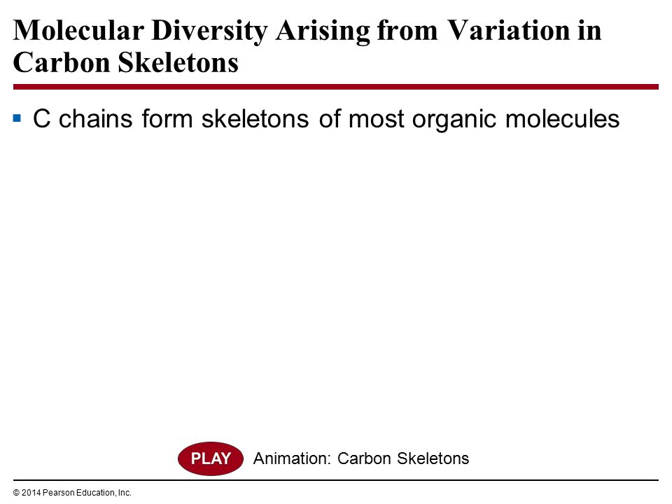 campbell biology in focus 2014 pearson education inc urry cain carbon chains form skeletons