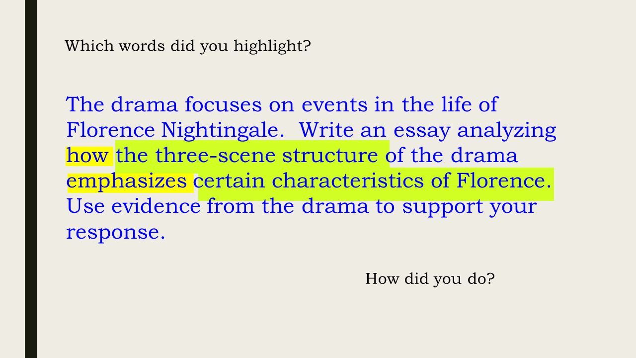 Florence nightingale essays