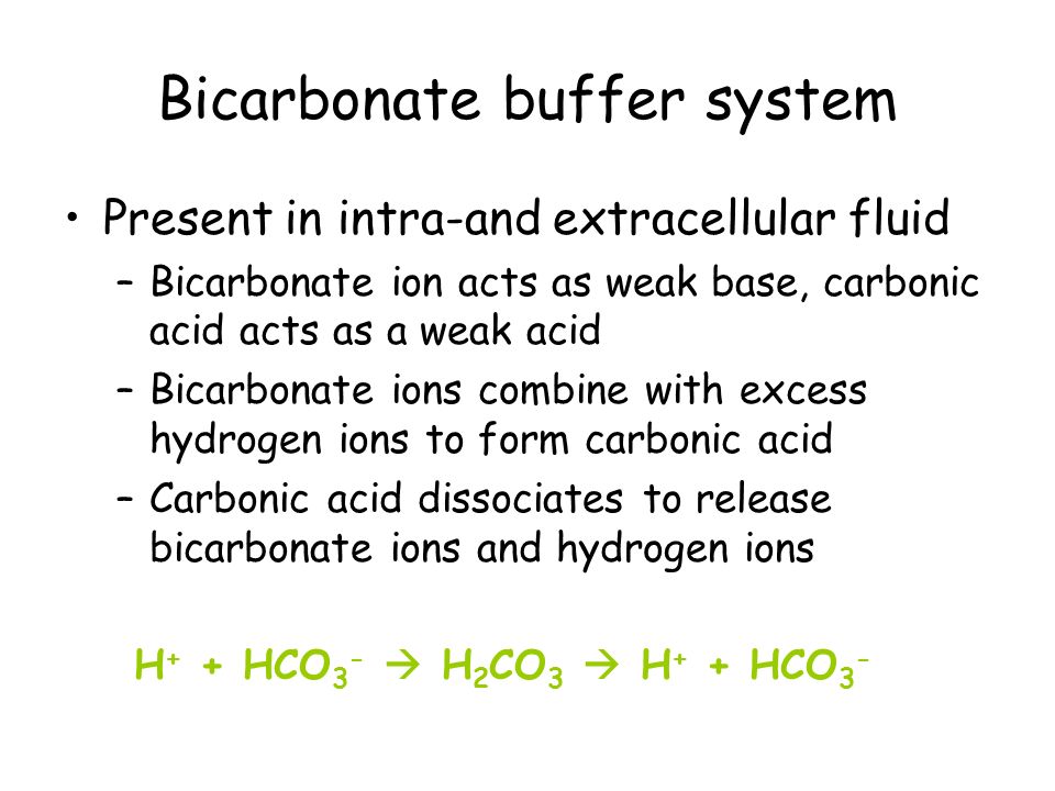 Acid Base Balance And Buffer Systems In The Human Body Department 24 Bicarbonate