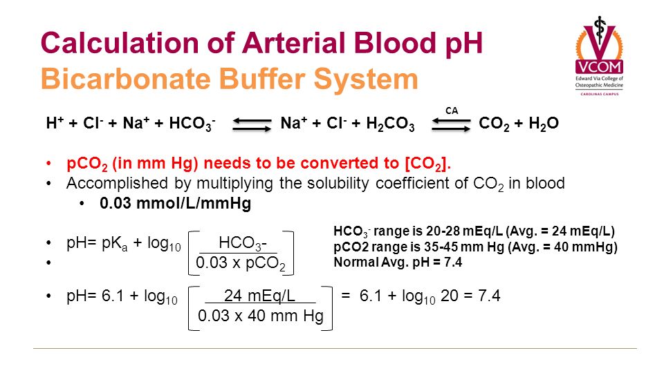 Blood Ph Equation Jennarocca Bicarbonate Buffer System Equation Jennarocca