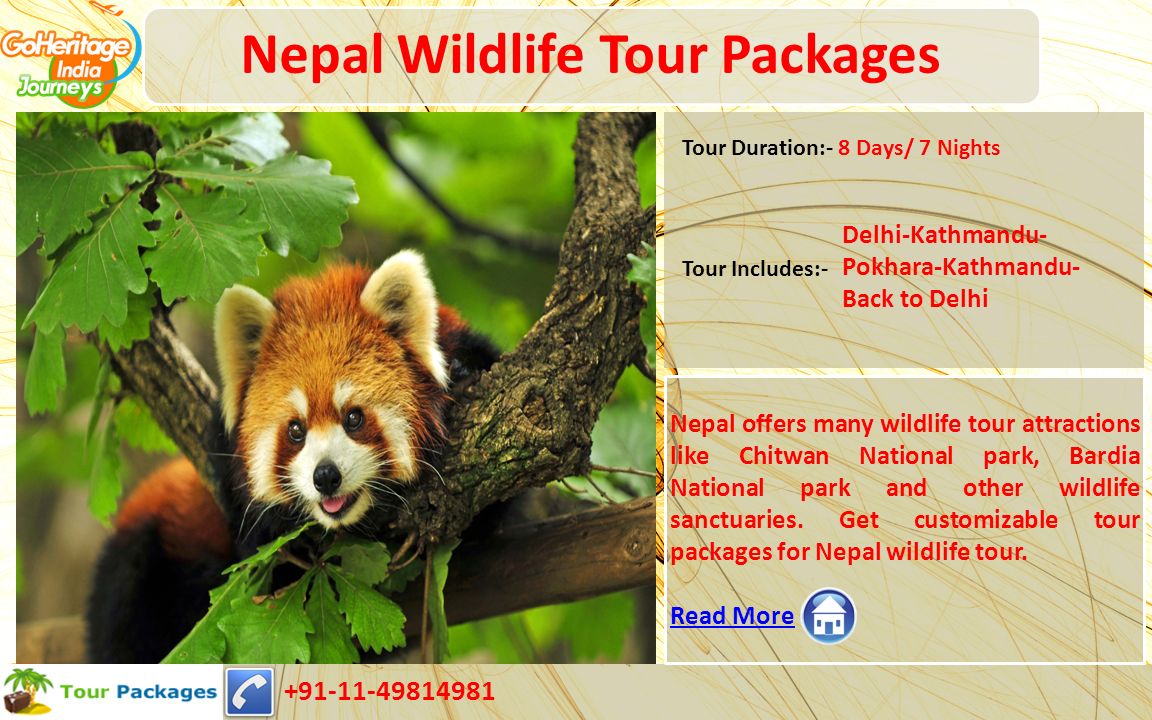 Nepal Wildlife Tour Packages Nepal offers many wildlife tour attractions like Chitwan National park, Bardia National park and other wildlife sanctuaries.