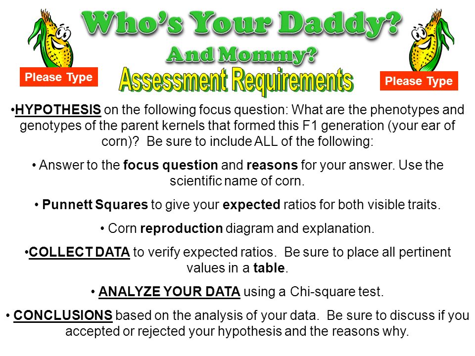 determining the unknown genotype of corn Different genotype possibilities: bb, bb, bb 5 to read a genotype, always go by the dominant allele, in this case there are only two phenotypes note. determining the unknown genotype of corn Different genotype possibilities: bb, bb, bb 5 to read a genotype, always go by the dominant allele, in this case there are only two phenotypes note.