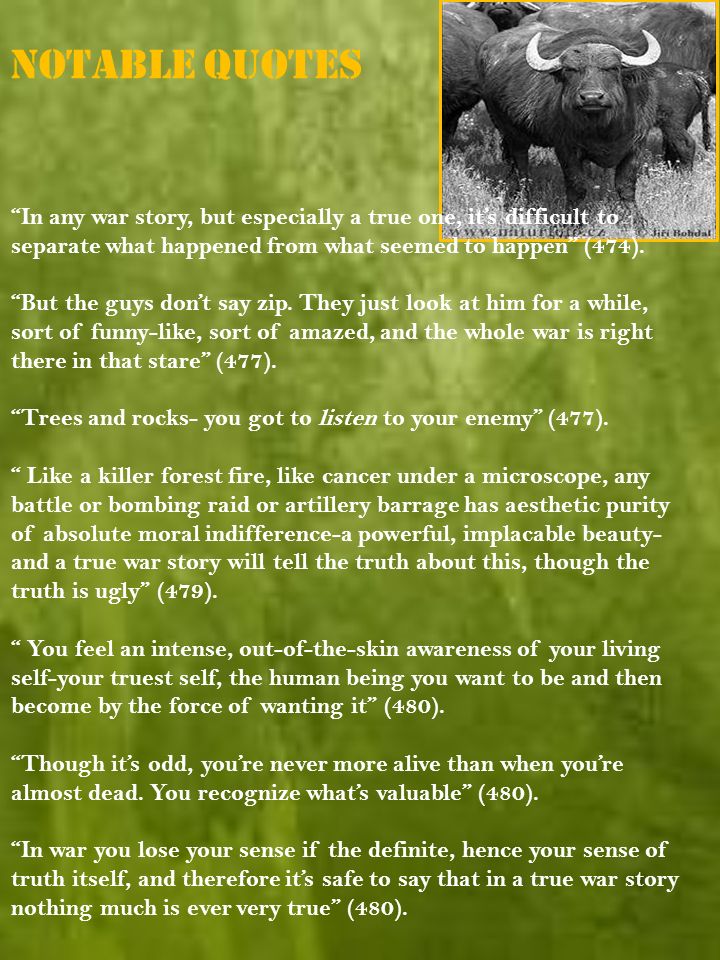 how to tell a true war story by tim obrien essay how to tell a true war story by tim obrien essay