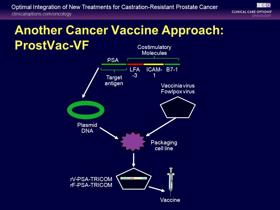 Vaccine for prostate cancer 2008