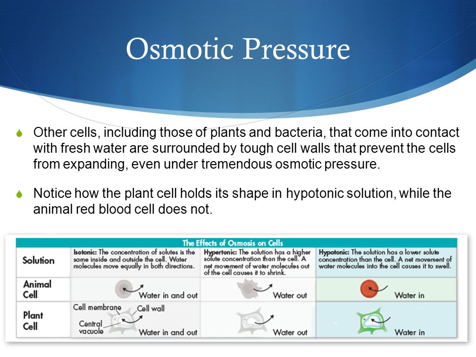 osmotic pressure osmotic pressure