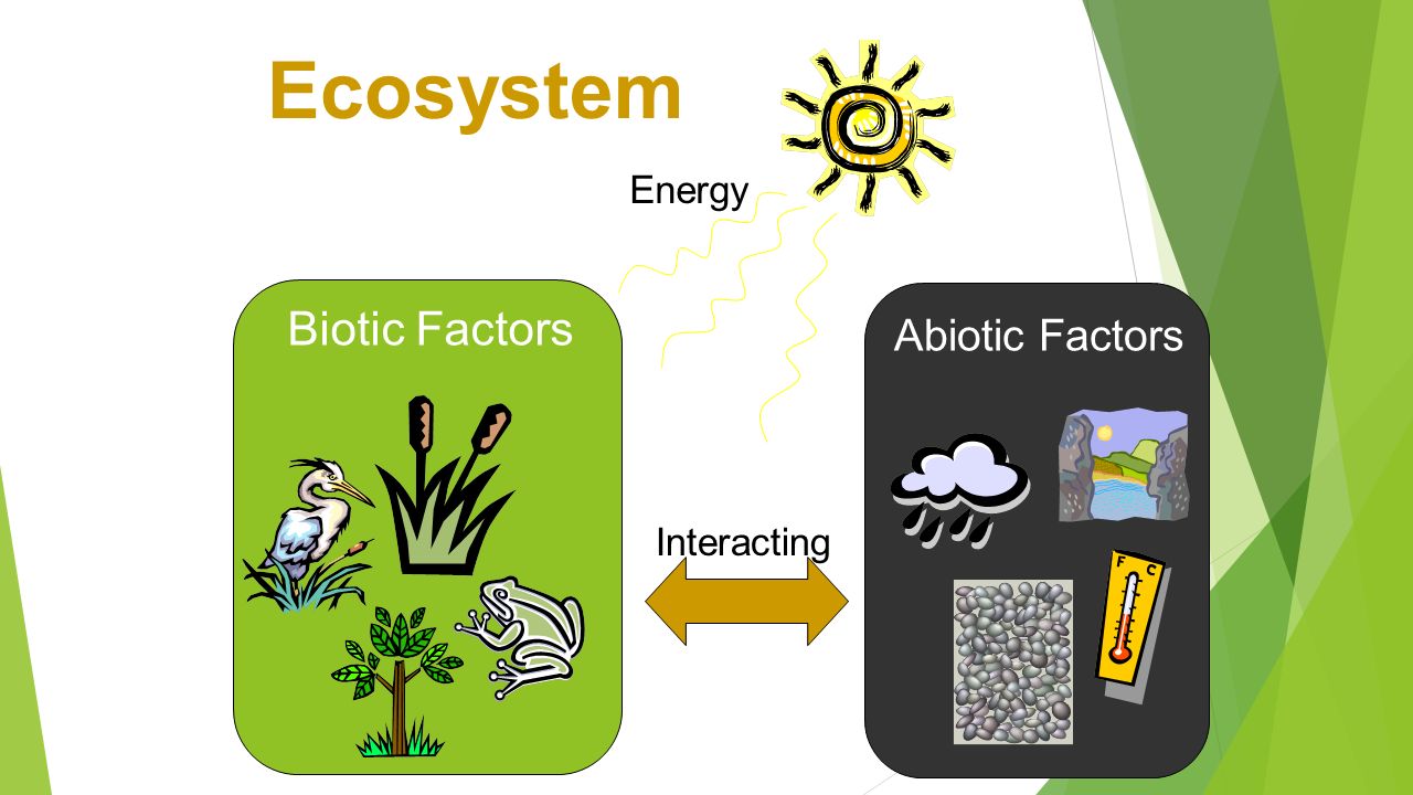 biotic abiotic factors biotic abiotic factors