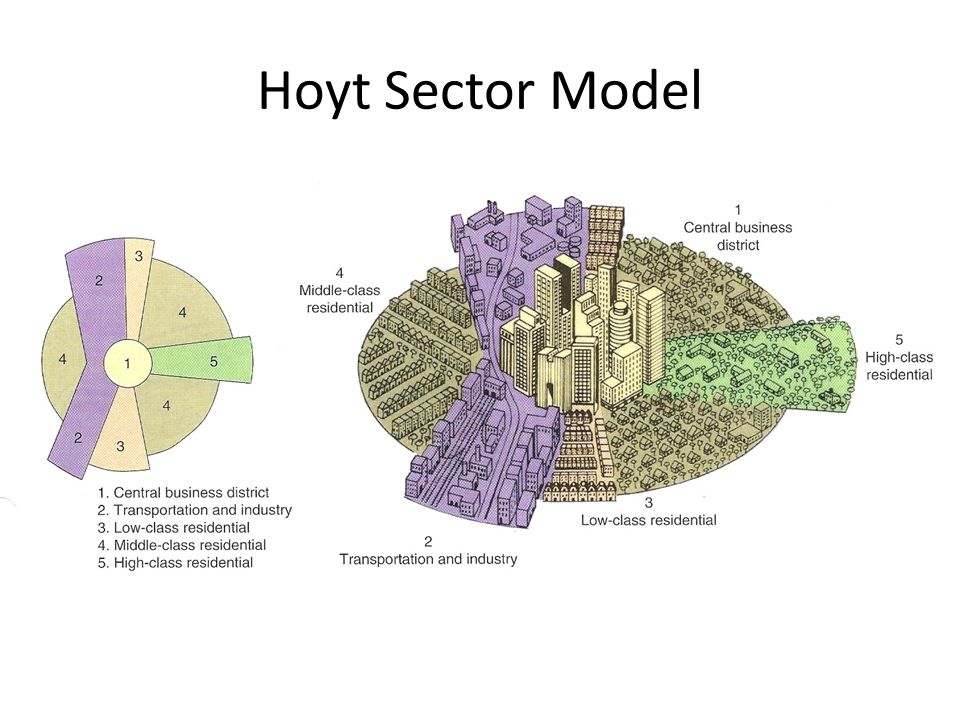sector model