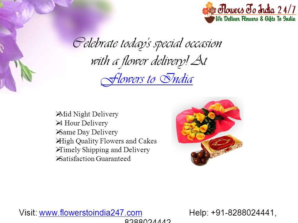 Mid Night Delivery  4 Hour Delivery  Same Day Delivery  High Quality Flowers and Cakes  Timely Shipping and Delivery  Satisfaction Guaranteed Celebrate today s special occasion with a flower delivery.