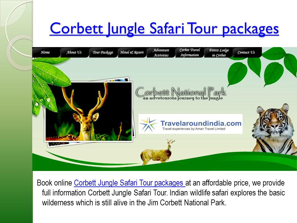Corbett Jungle Safari Tour packages Corbett Jungle Safari Tour packages Book online Corbett Jungle Safari Tour packages at an affordable price, we provide full information Corbett Jungle Safari Tour.