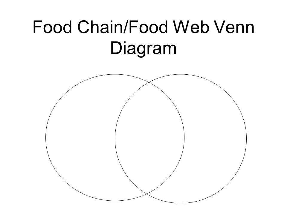 venn diagram of food chain and food web barca fontanacountryinn com venn diagram food chain food web