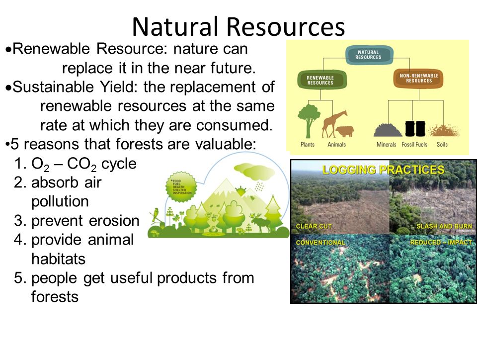 natural resource natural resource