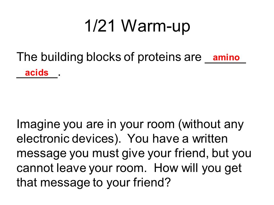 dna and protein synthesis 1 21 warm up the building blocks of the building blocks of proteins are