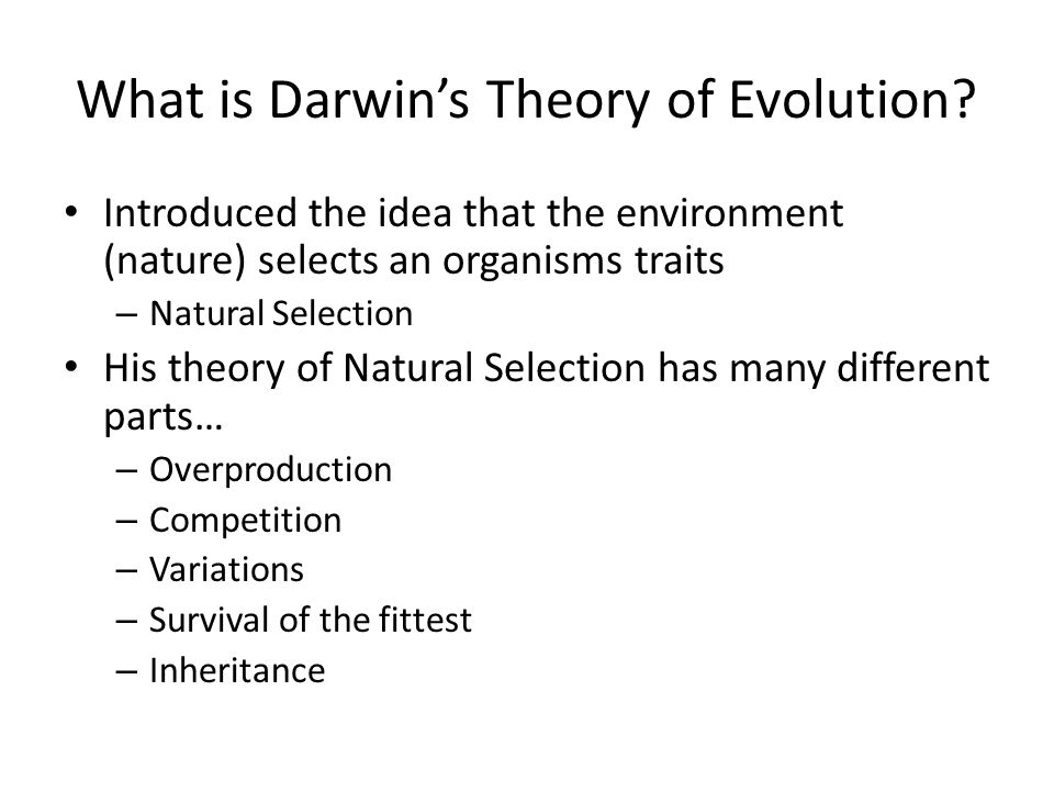 what is theory Watch video the big bang theory is the leading explanation about how the universe began at its simplest, it talks about the universe as we know it starting with a small singularity, then inflating over the next 138 billion years to. what is theory Watch video the big bang theory is the leading explanation about how the universe began at its simplest, it talks about the universe as we know it starting with a small singularity, then inflating over the next 138 billion years to.