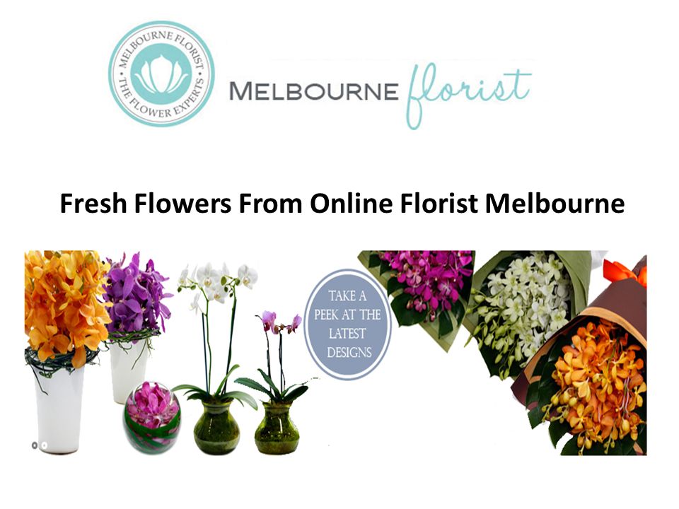 Fresh Flowers From Online Florist Melbourne