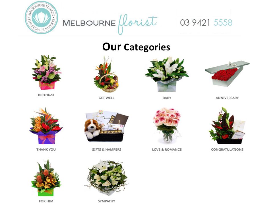 Our Categories