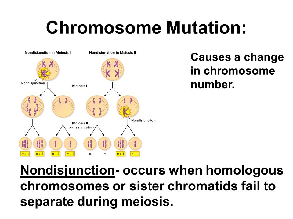Aim What Causes Genetic Disorders Do Now Are 3 Chromosome