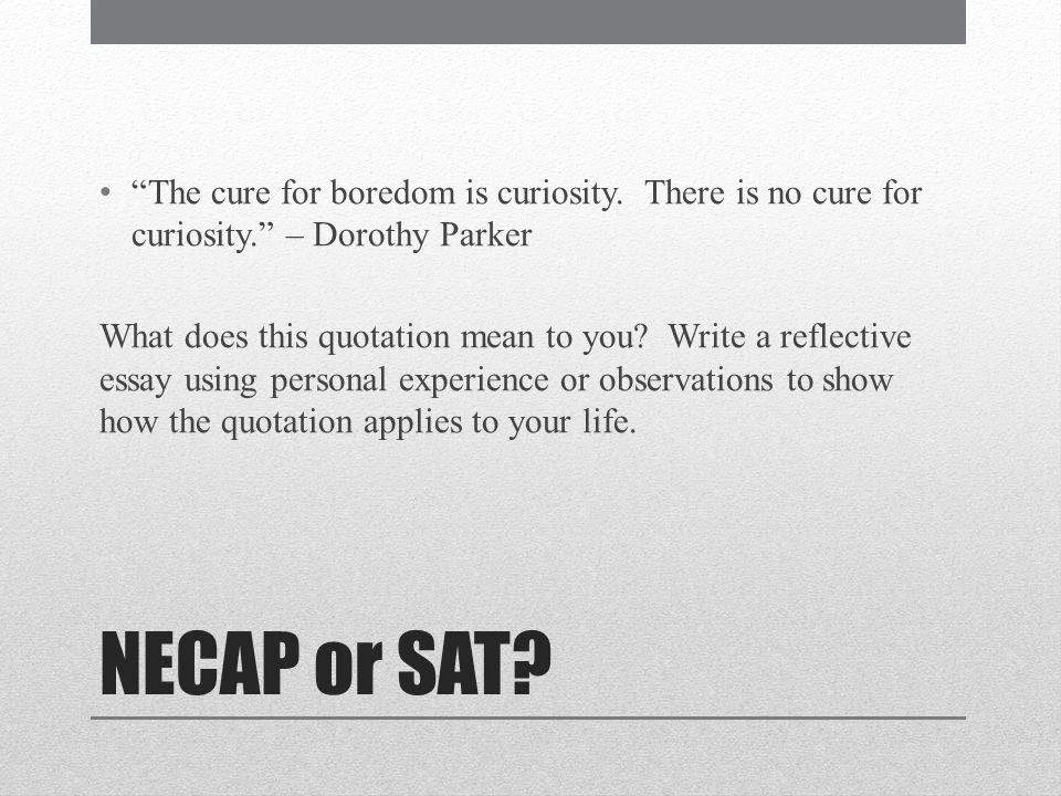 personal experience narrative essay example