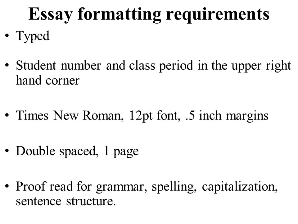 typed essay format