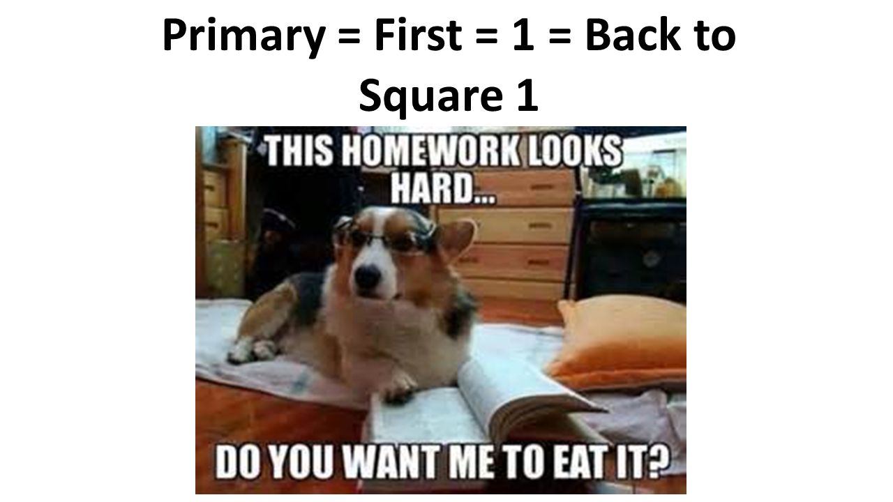 Primary = First = 1 = Back to Square 1