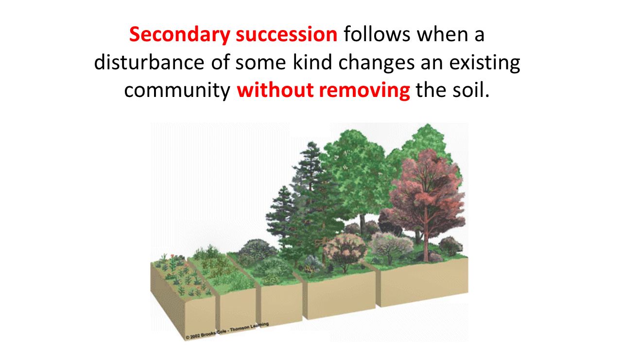Secondary succession follows when a disturbance of some kind changes an existing community without removing the soil.