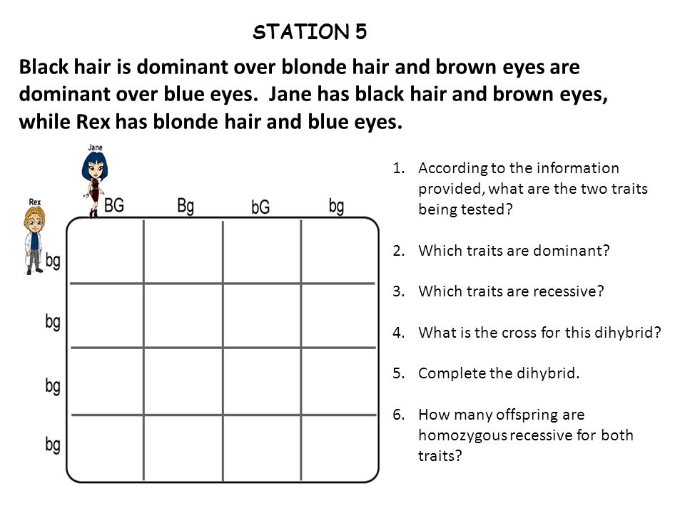 Brown Or Blonde Hair More Dominant Hair Colour And Attraction Is The Latest Psychological Research