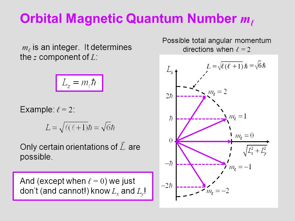 Orbital Angular Momentum Application Of The Schrödinger Equation Only Certain Orientations Of Are Possible Orbital Magnetic Quantum Number M ℓ Is
