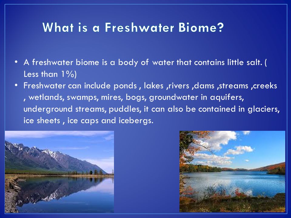 the characteristics of the streams lakes ponds and swamps types of freshwater biomes the characteristics of the streams lakes ponds and swamps types of freshwater biomes