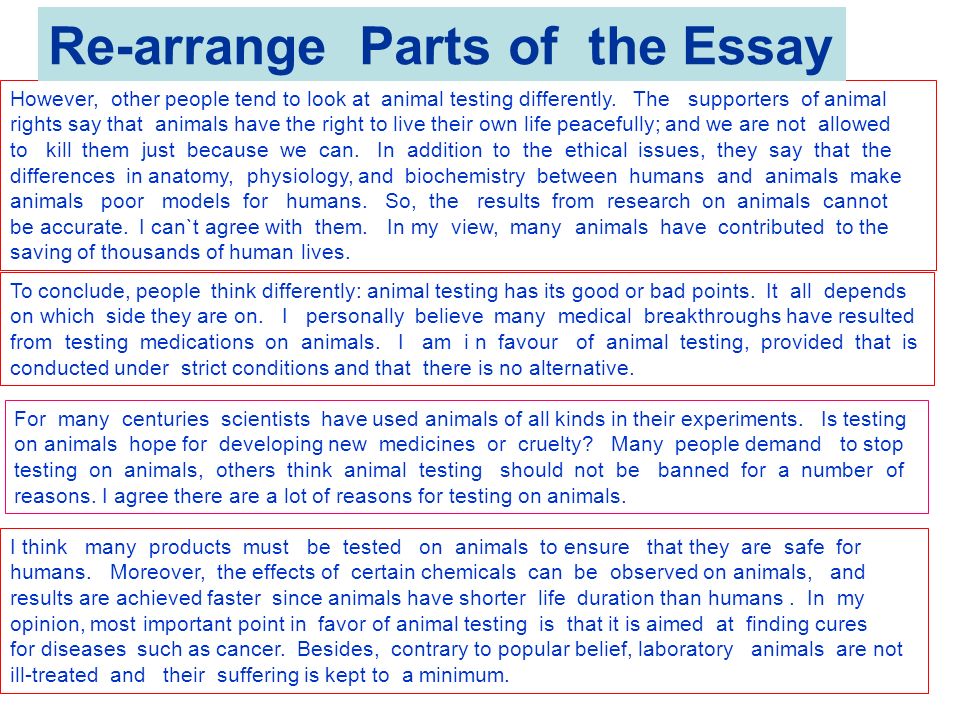 Essay Writing Thesis Statement Thesis Statement For Animal Testing Paper Topics For Argumentative Essays For High School also Sample Business Essay Thesis Statement For Animal Testing Paper Prothesis Covers High School Years Essay