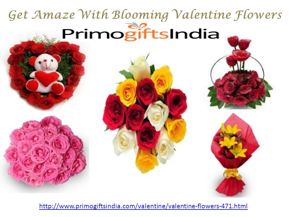 Get Amaze With Blooming Valentine Flowers