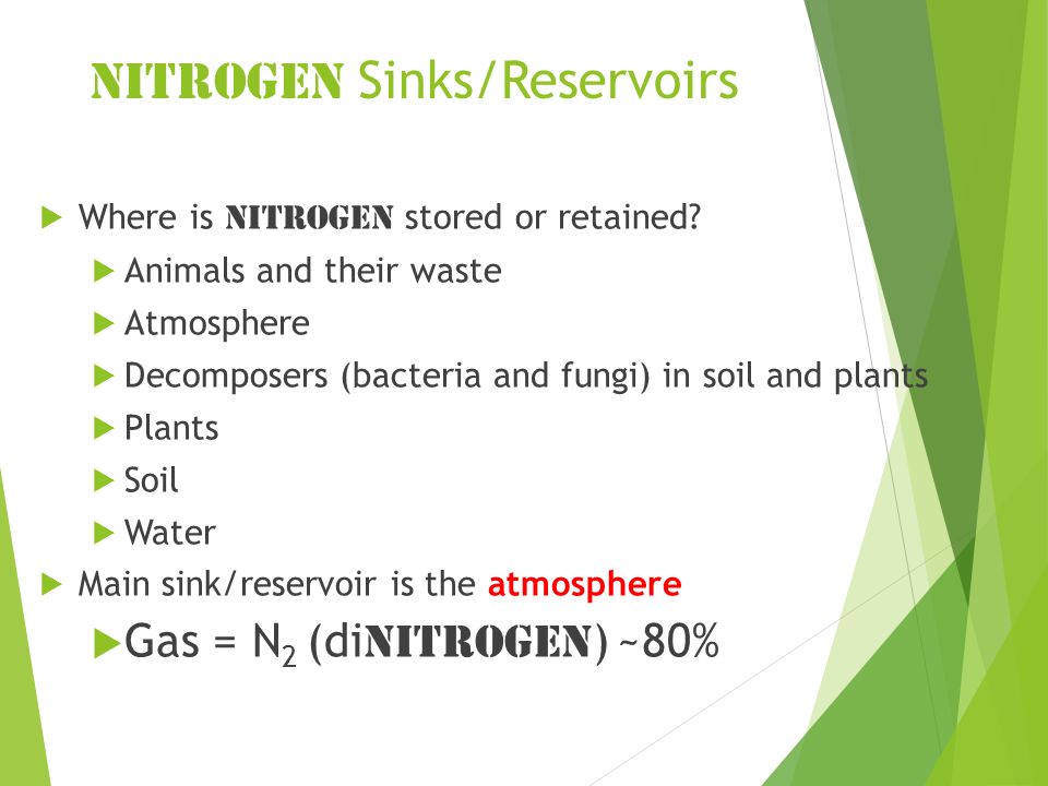 Water Carbon And Nitrogen Cycle Worksheet Answers Katinabags Com Nitrogen Cycle Worksheets Samsungblueearth