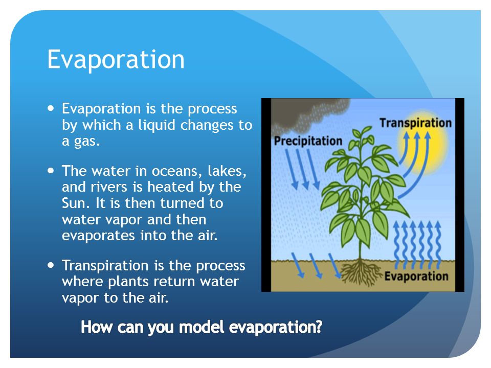 Evaporation Evaporation is the process by which a liquid changes to a gas.