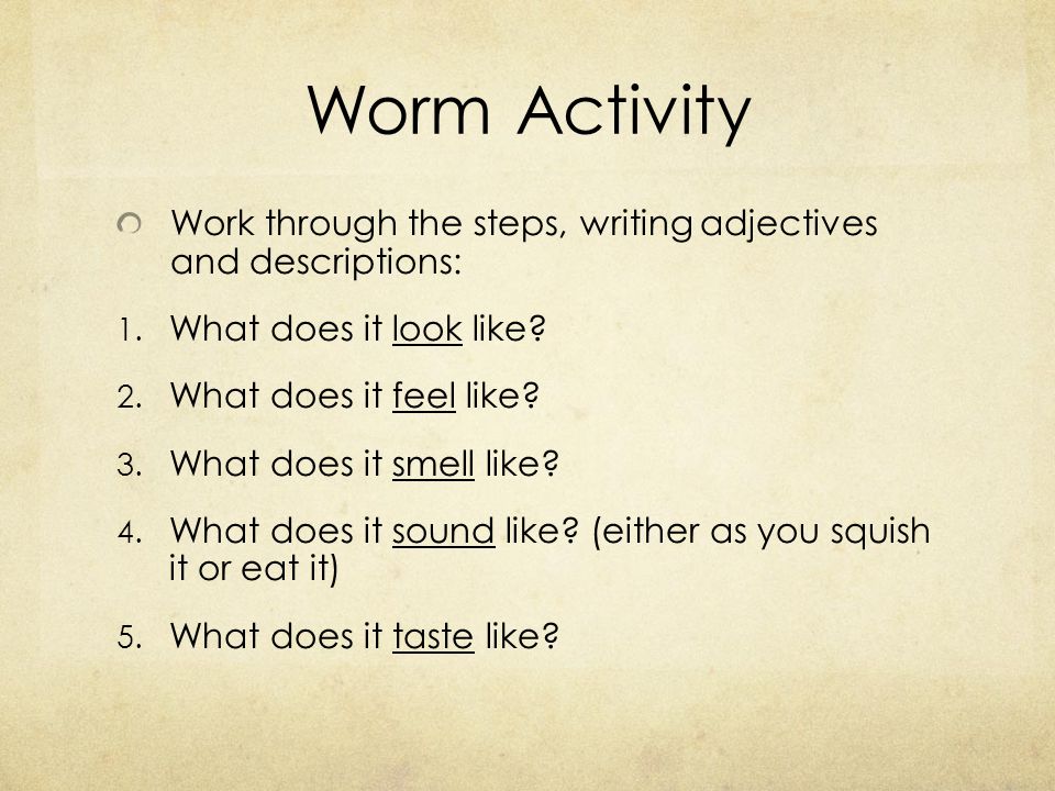 Creative Writing Descriptions