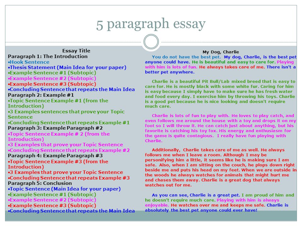 Guide introduction essay