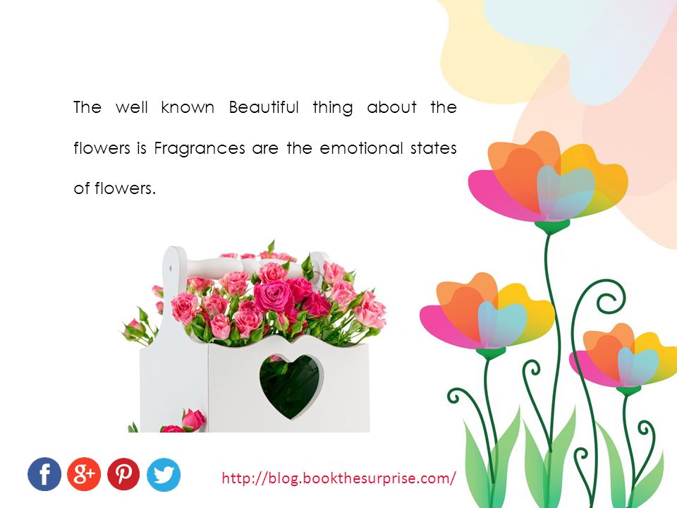 The well known Beautiful thing about the flowers is Fragrances are the emotional states of flowers.