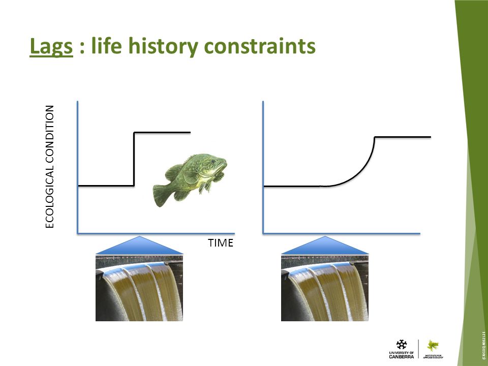 (CRICOS) #00212K ECOLOGICAL CONDITION TIME Lags : life history constraints