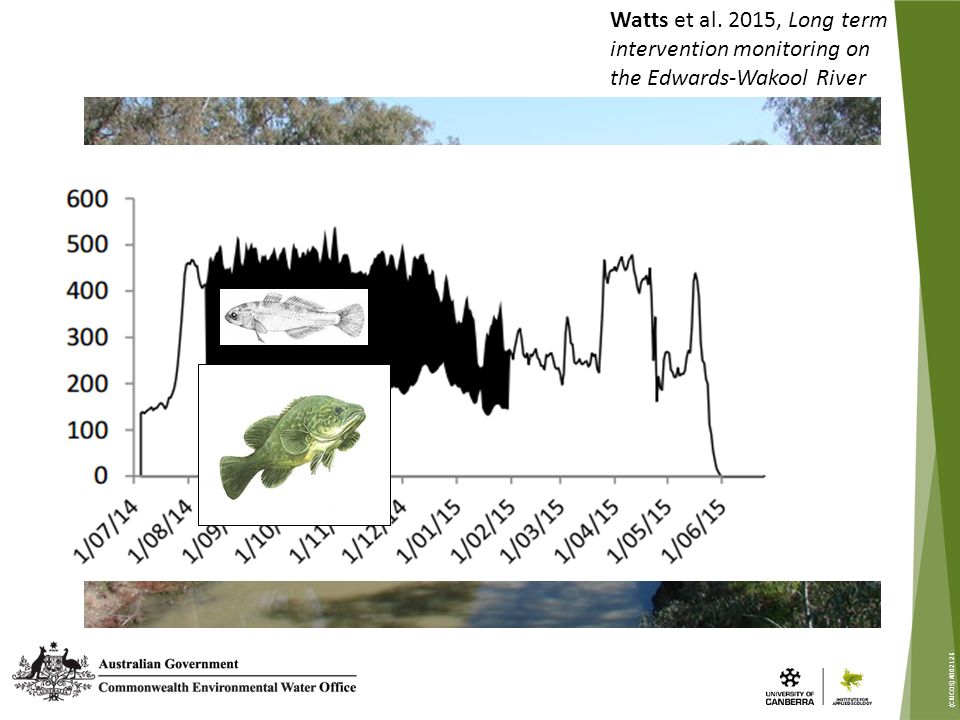 (CRICOS) #00212K Watts et al. 2015, Long term intervention monitoring on the Edwards-Wakool River