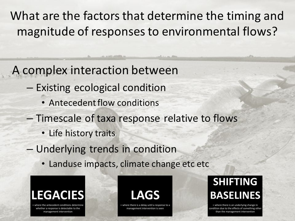(CRICOS) #00212K What are the factors that determine the timing and magnitude of responses to environmental flows.