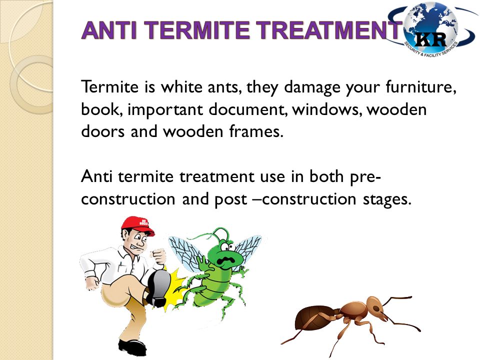 Termite is white ants, they damage your furniture, book, important document, windows, wooden doors and wooden frames.