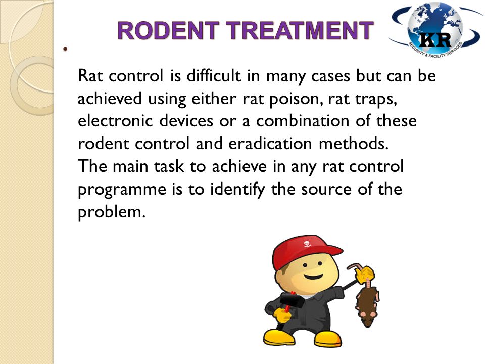 Rat control is difficult in many cases but can be achieved using either rat poison, rat traps, electronic devices or a combination of these rodent control and eradication methods.