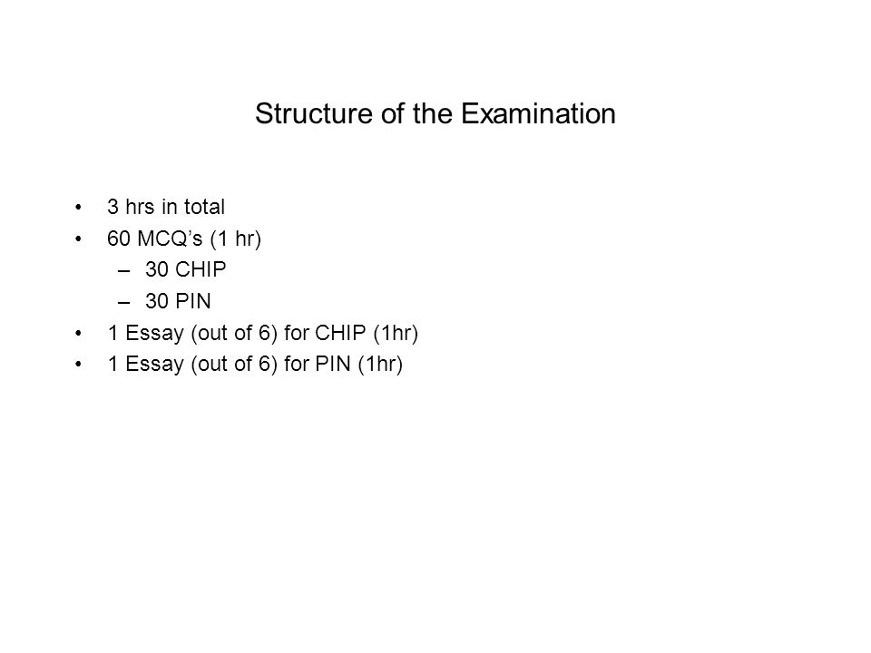 essay examination