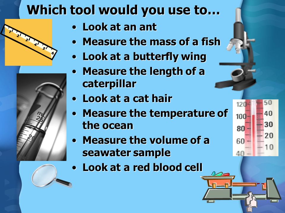 unit 1 lab unit 1 lab