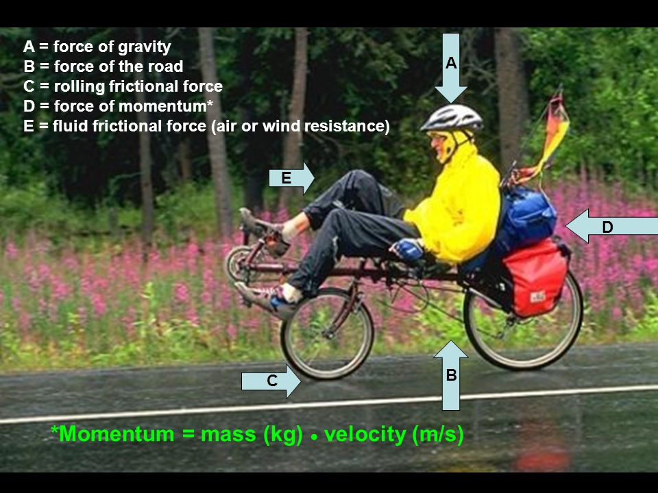 Using The Force Inertia Vis Insita Or 27 B A D C E Force Of Gravity The Road Rolling Frictional Momentum Fluid Air Or Wind