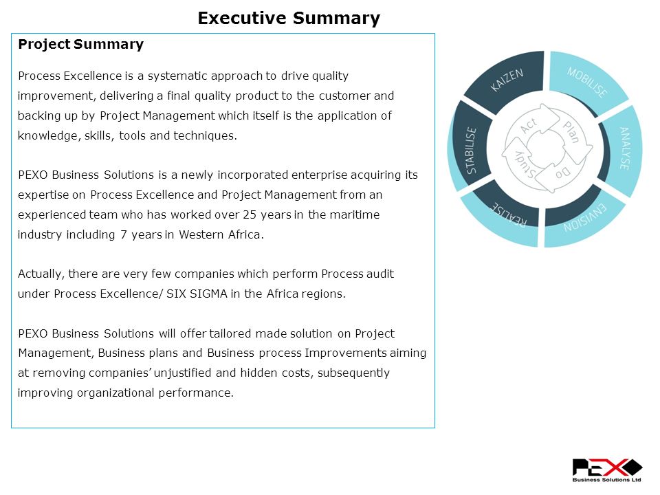 project management audit summary project management audit summary
