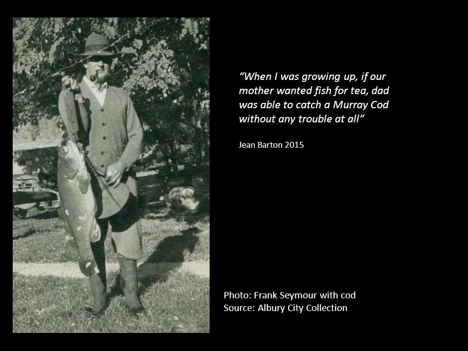 Photo: Frank Seymour with cod Source: Albury City Collection When I was growing up, if our mother wanted fish for tea, dad was able to catch a Murray Cod without any trouble at all Jean Barton 2015
