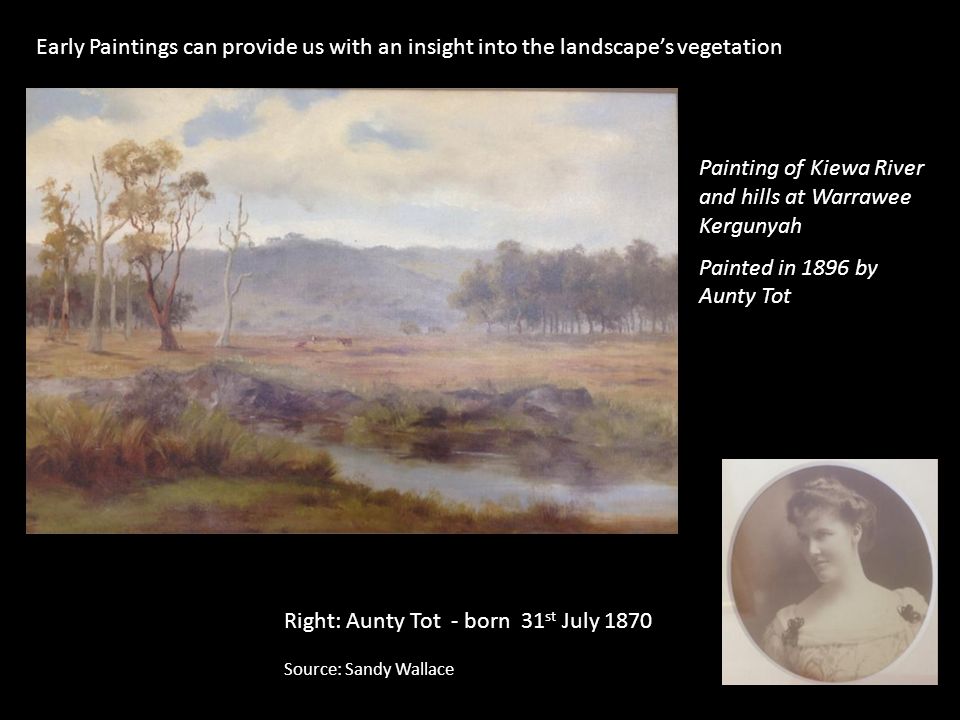 Painting of Kiewa River and hills at Warrawee Kergunyah Painted in 1896 by Aunty Tot Right: Aunty Tot - born 31 st July 1870 Source: Sandy Wallace Early Paintings can provide us with an insight into the landscape’s vegetation